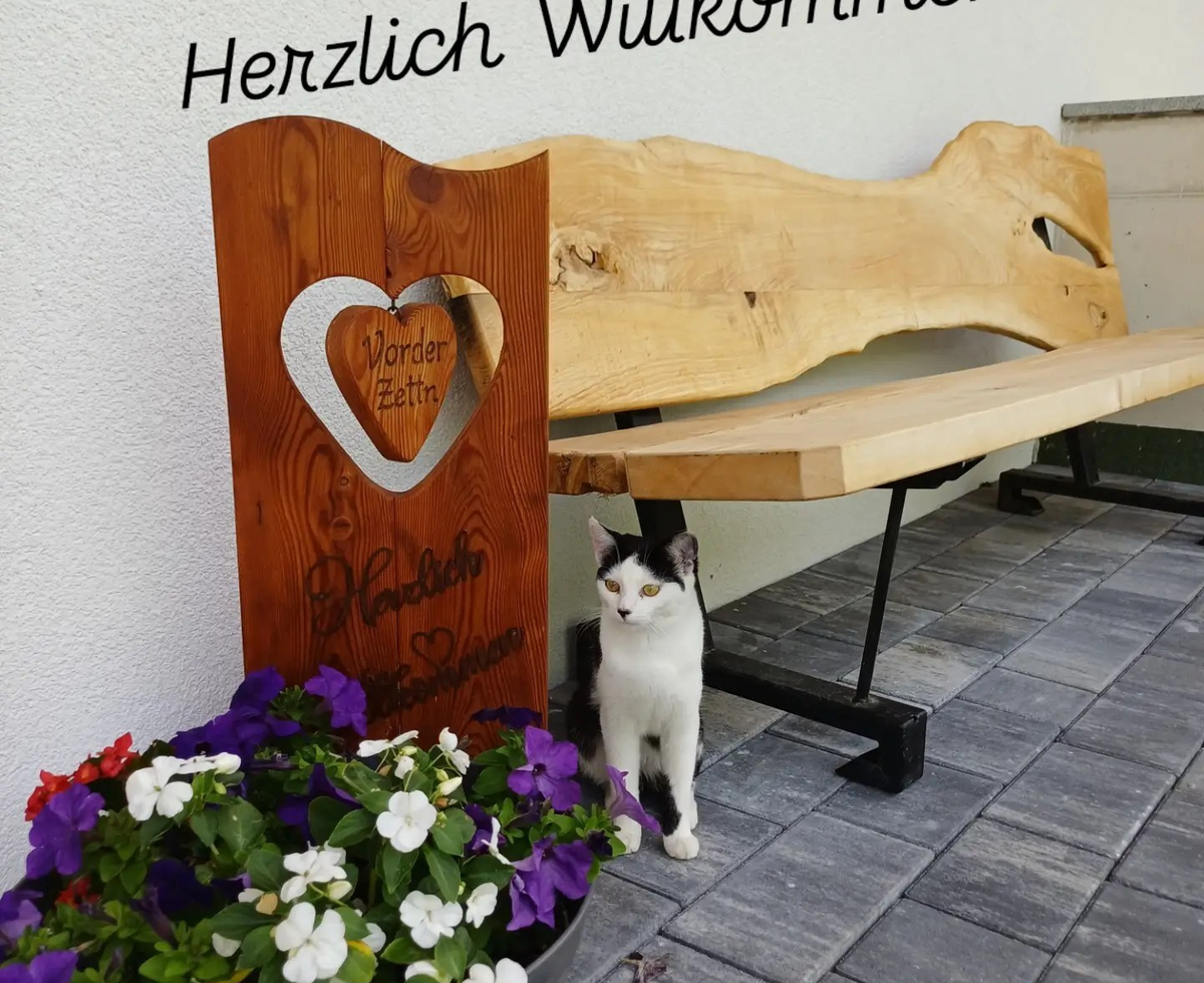 Ein einladender Eingangsbereich auf dem Bauernhof mit einer rustikalen Holzbank, bunten Blumen und einer freundlichen Katze.