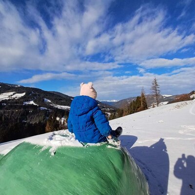 Winterlicher Spaß auf dem Bauernhof mit einem malerischen Ausblick auf die verschneite Berglandschaft.