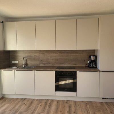 Moderne Küche im Bauernhof mit Spüle, Kochfeld, Backofen, Kaffeemaschine und integriertem Kühlschrank.