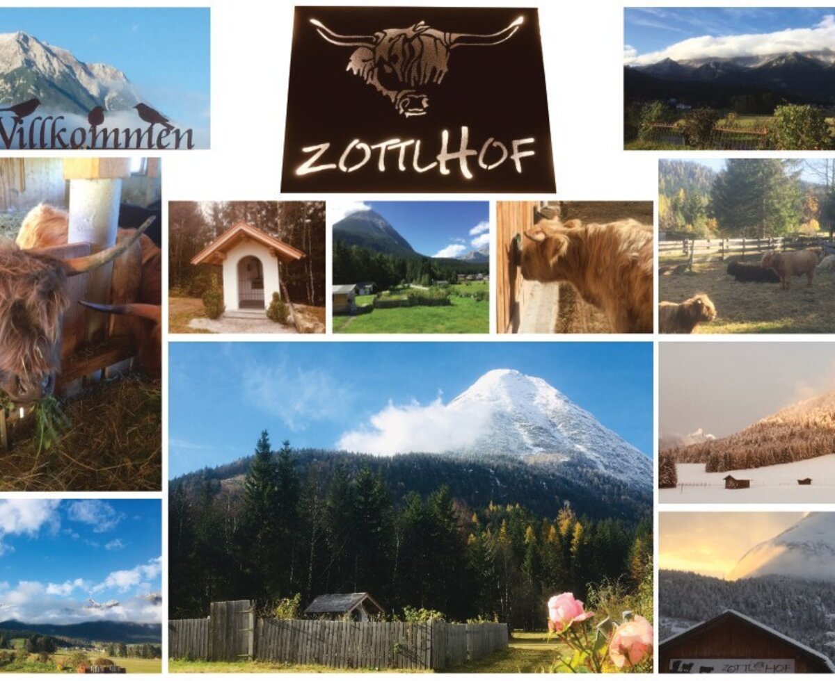 Eine stimmungsvolle Collage mit den zotteligen Hochlandrindern und der malerischen Bergkulisse rund um die Appartements.