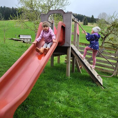 Der Spielplatz des Bauernhofs mit Rutsche und Klettergerüst, auf dem Kinder spielen.