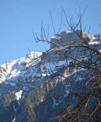 unser Hausberg Kanisfluh