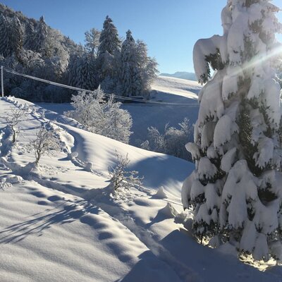 Balkonblick
