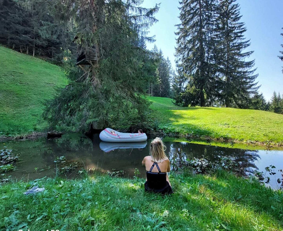 Blick auf den Teich der Bergwiese, umgeben von Bergwiesen und Bäumen.