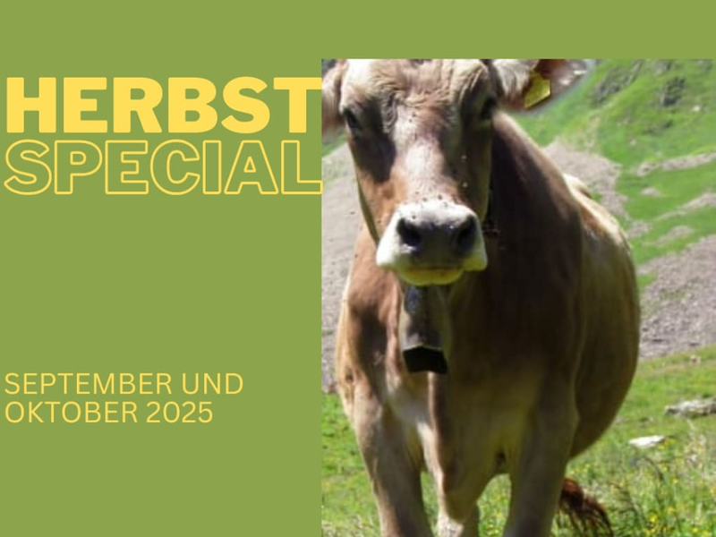 Herbst Special