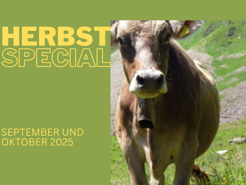 Herbst Special