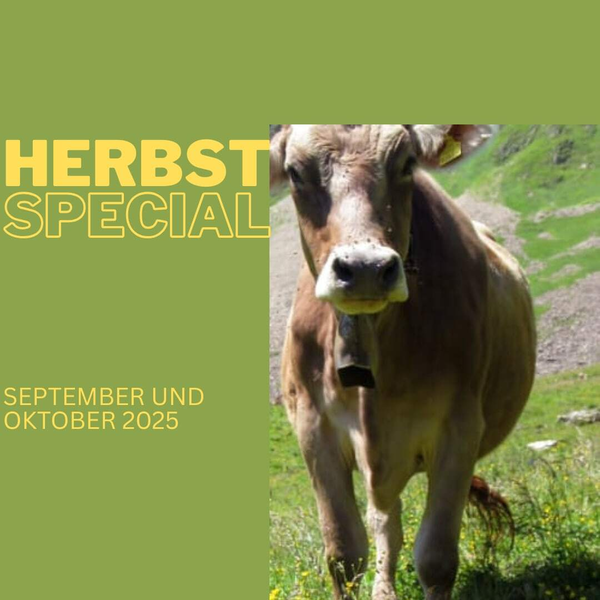 Herbst Special