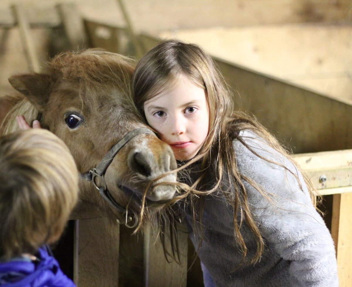 Sissy wird von allen geliebt