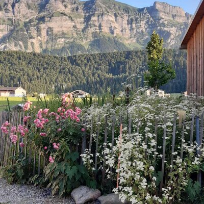 Blick zur Kanisfluh