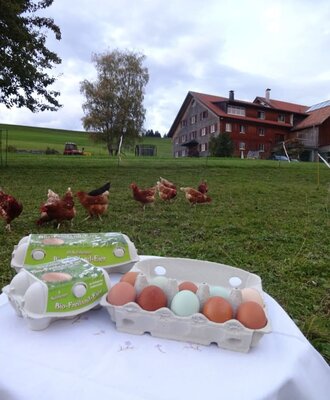 frische Eier von unseren glücklichen Hühnern