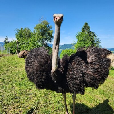 Unsere Sträuße genießen es bestaunt zu werden.