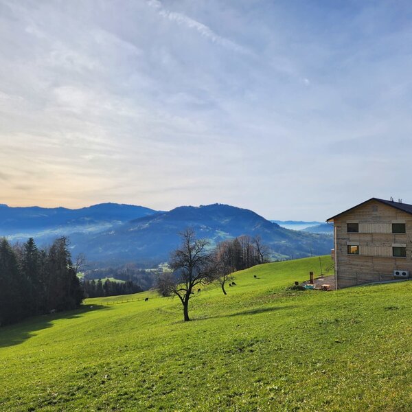 Ihr neu erbautes zu Hause auf Zeit - Blickfang