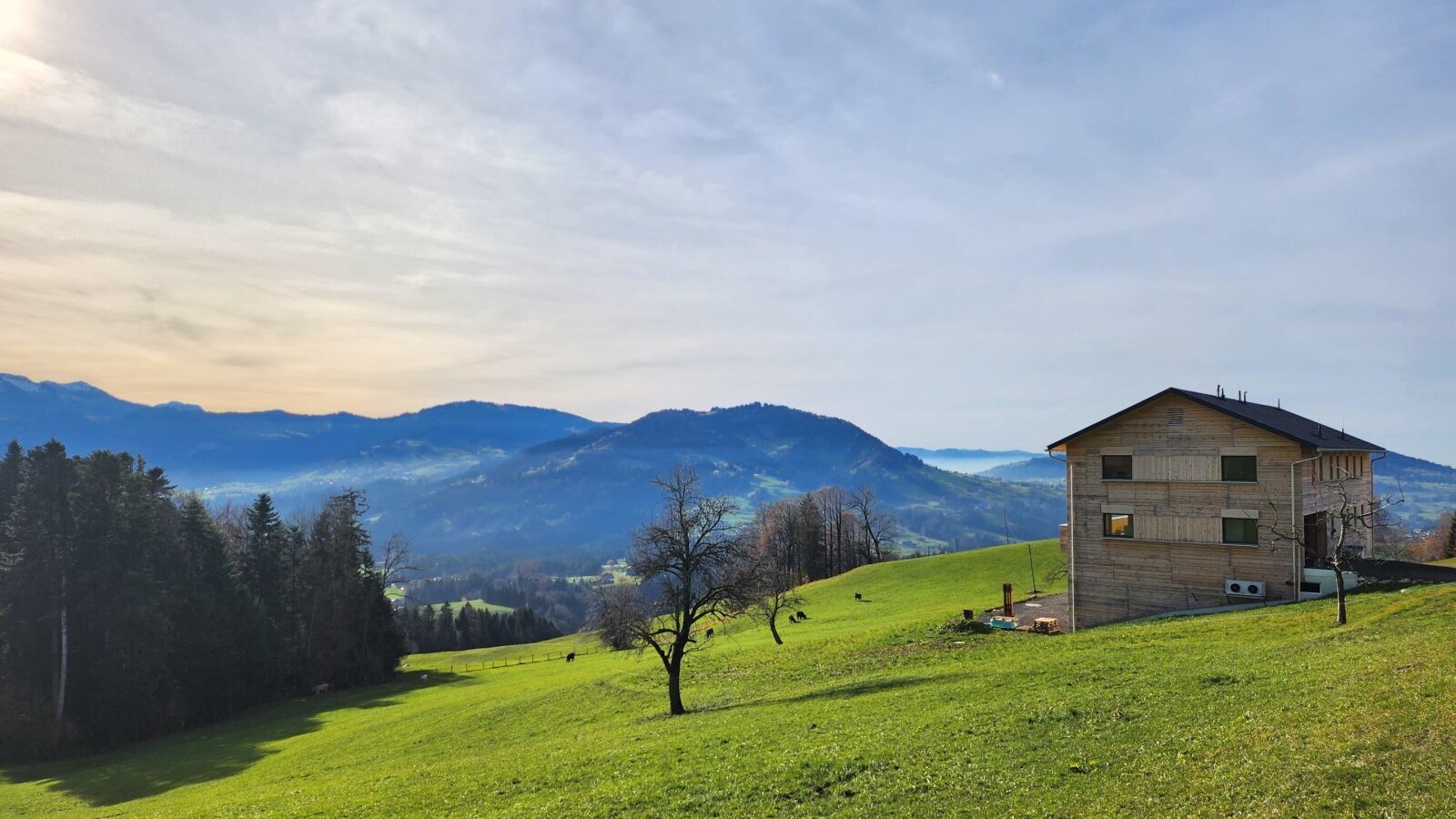 Ihr neu erbautes zu Hause auf Zeit - Blickfang