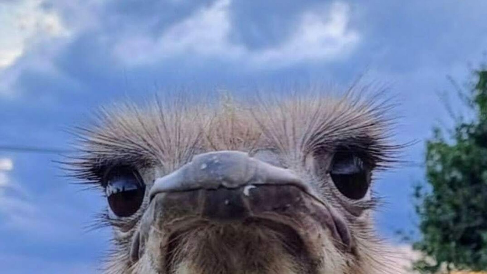 Unsere neugierige Heidi