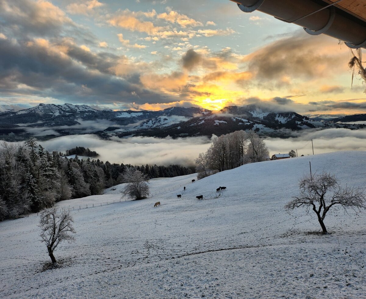der verschneite Bregenzerwald in Abendstimmung