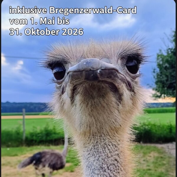 Unsere Heidi hat noch mehr zu bieten.