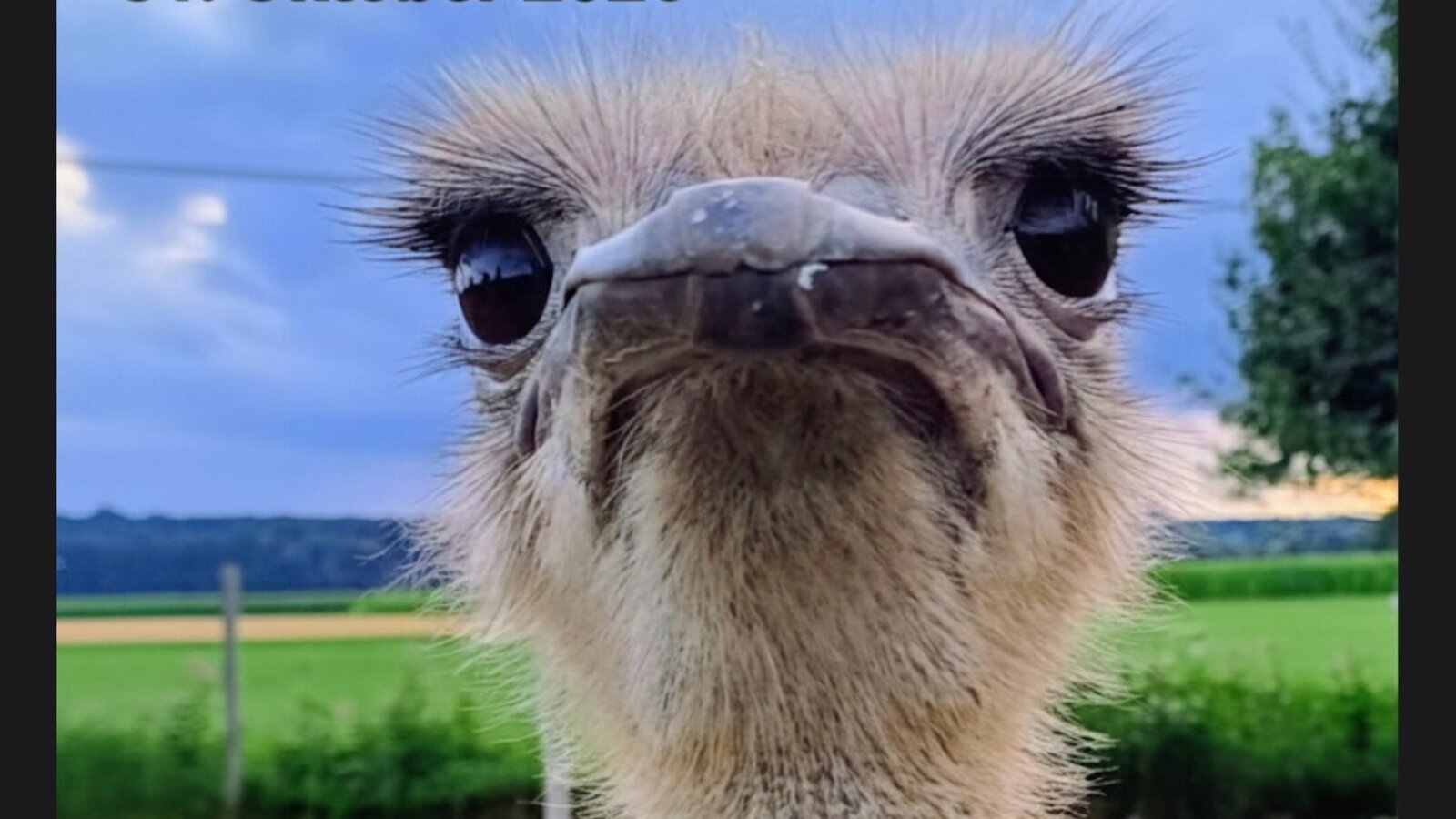 Unsere Heidi hat noch mehr zu bieten.