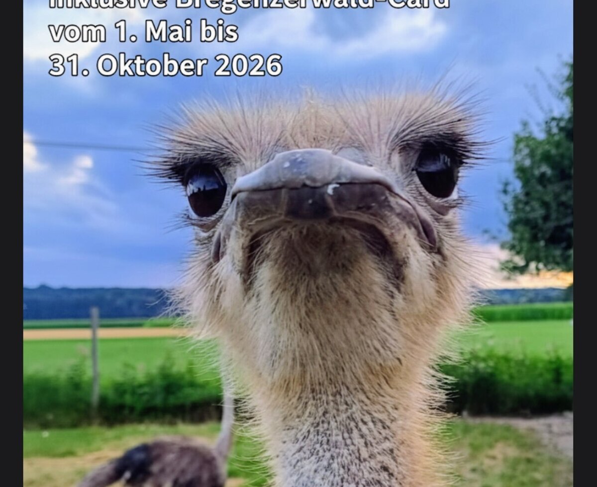 Unsere Heidi hat noch mehr zu bieten.