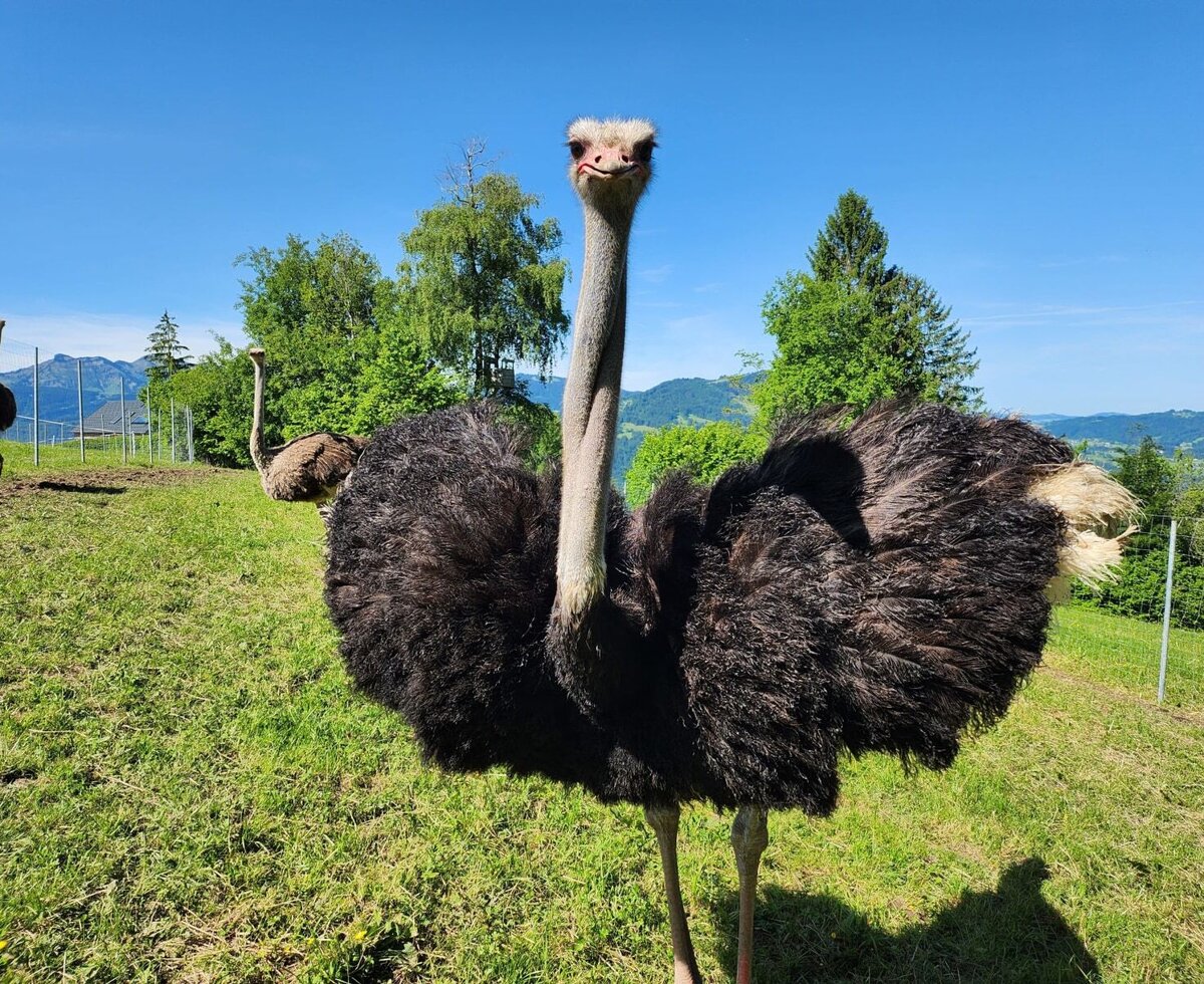 Unsere Sträuße genießen es bestaunt zu werden.