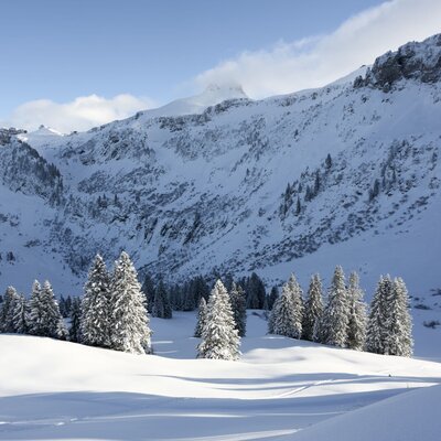 Die winterliche Umgebung des Bauernhofs mit verschneiten Bergen und Nadelbäumen.