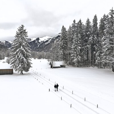 Winterlandschaft um den Bauernhof mit verschneiten Feldern, Tannenbäumen und Spaziergängern auf einem Weg.