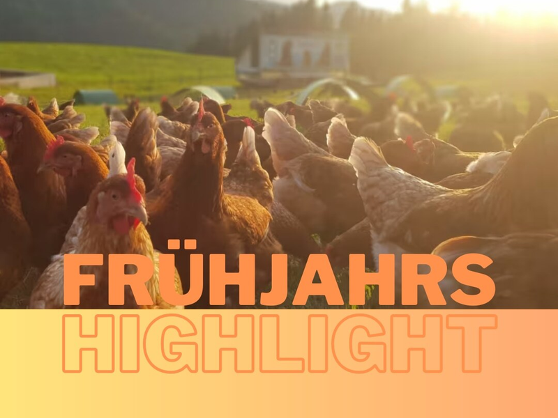 Frühjahrs Highlight