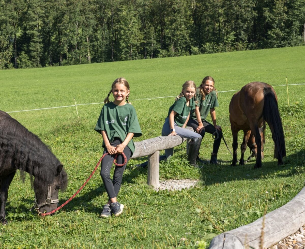 Die weitläufigen Wiesen des Bauernhofs bieten Kindern eine wunderbare Zeit mit den freundlichen Ponys.