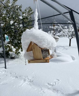 Ein schneebedecktes Vogelhäuschen aus Holz im Außenbereich des Bauernhofs.