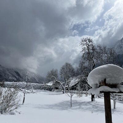 Winterlandschaft des Bauernhofs mit schneebedeckten Bäumen, Bergen und einem Vogelhäuschen im Vordergrund.