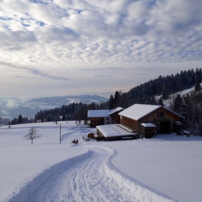 Bei guten Schneeverhältnissen Rodelbahn direkt vor dem Haus