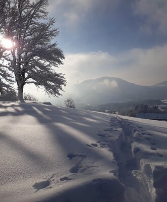 Wanderwege im Schnee