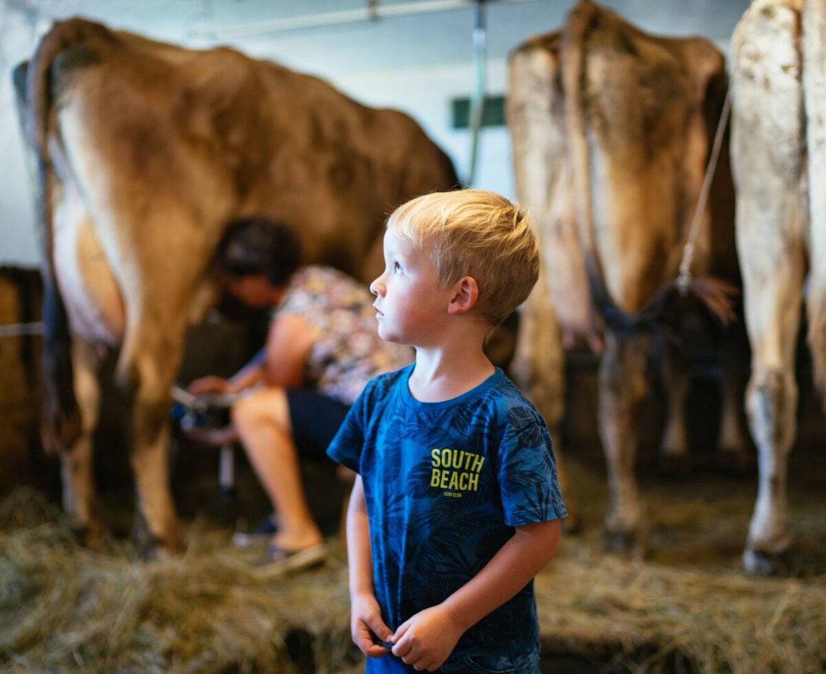 Was kann das Weiße Gold? Landwirtschaft hautnah erleben im Bregenzerwald.