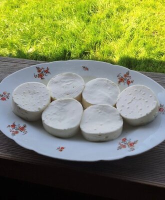 Frischer Käse - hausgemacht
