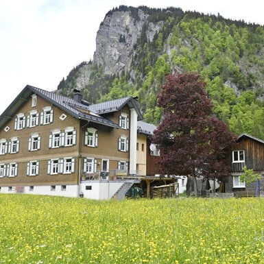 Wiese mit unserem Bauernhaus im Hintergrund