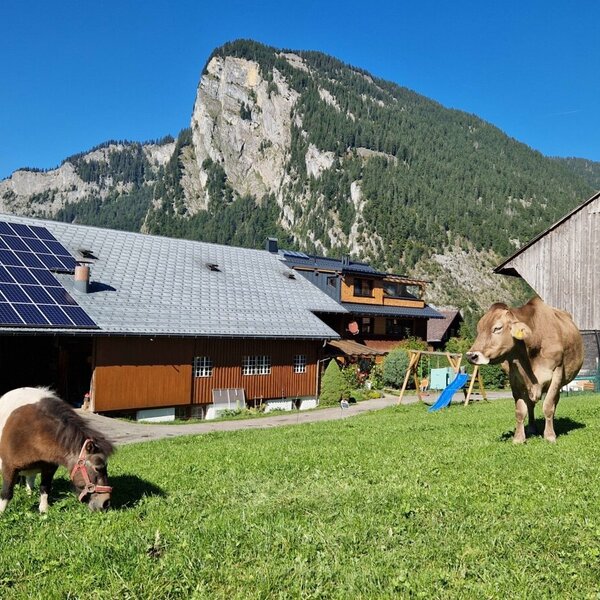 Ferienbauernhof Berlinger umgeben von Wiesen mit Pony und Kuh, einem Kinderspielplatz und Bergblick.