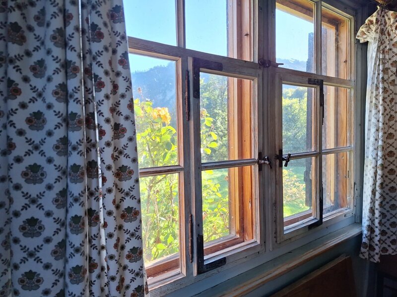 Schöne Aussichten - aus der Wohnung Rosenblüte