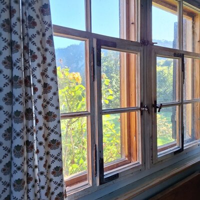 Schöne Aussichten - aus der Wohnung Rosenblüte