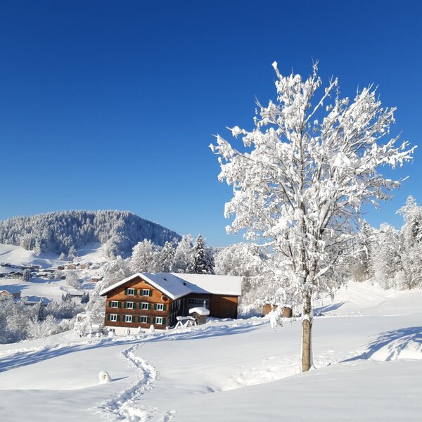 Winter