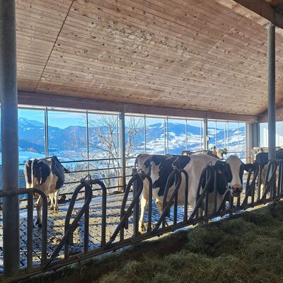 Herrliche Aussichten vom Laufstall in die Berge