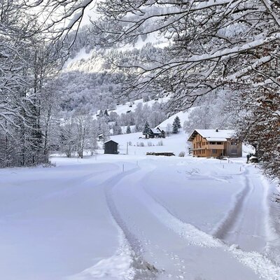 Winterlandschaft mit verschneiten Bäumen, Bergen im Hintergrund und der Ferienhof, erreichbar über einen geräumten Weg.