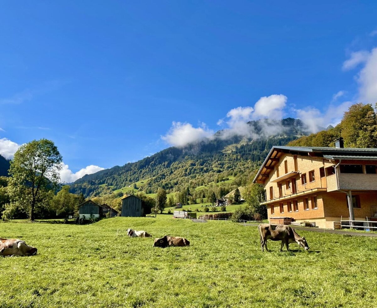 Die Ferienwohnung inmitten einer idyllischen Berglandschaft mit saftig grünen Wiesen und weidenden Kühen.