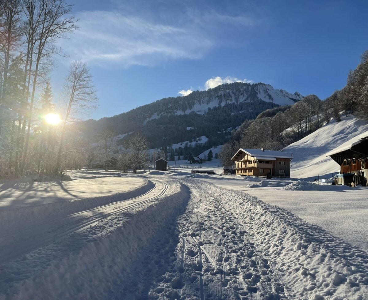 Die verschneite Umgebung der Ferienwohnung mit einer sonnigen Winterlandschaft und malerischem Bergblick.
