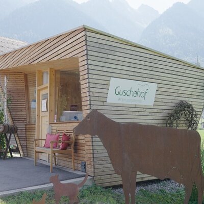 Der moderne Eingangsbereich des Bauernhofs Guschahof mit Holzverkleidung, Sitzbank, tierischer Dekoration und Parkmöglichkeiten.