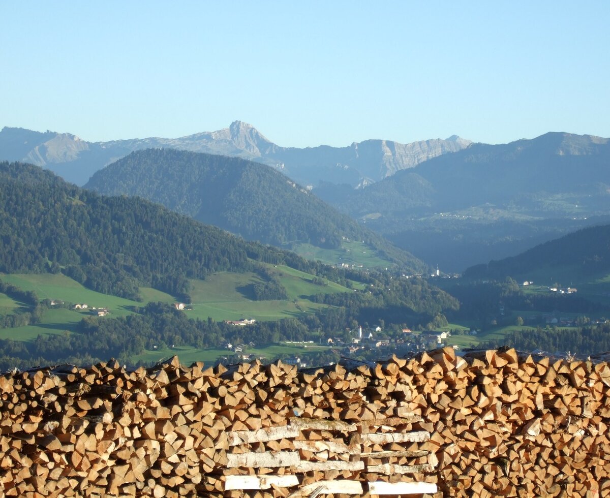 Blick zum Hohen Ifen