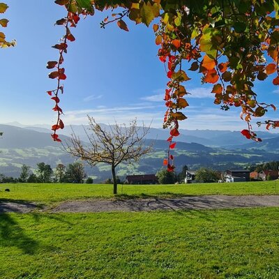 Herbststimmung