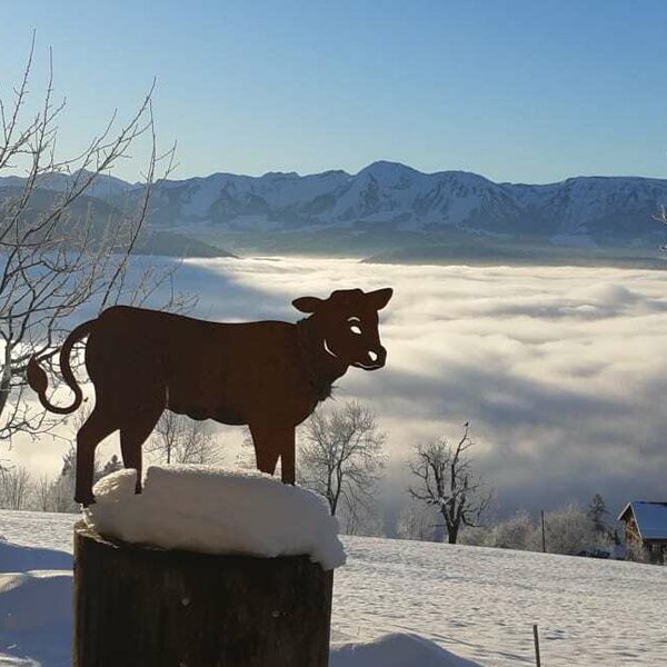 Winterpanorama