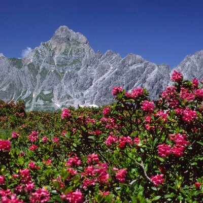 Natur