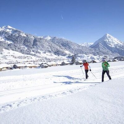 Urlaub am Bauernhof im Bregenzerwald. Au-Schoppernau.