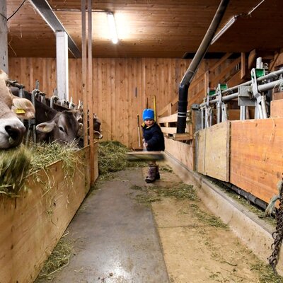 Kind bei der Stallarbeit