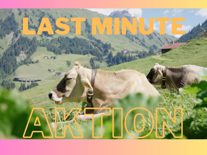 Last Minute Aktion